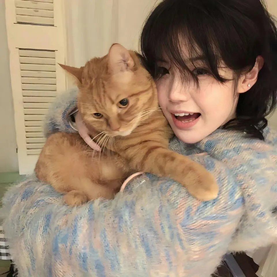 声临其境第三季