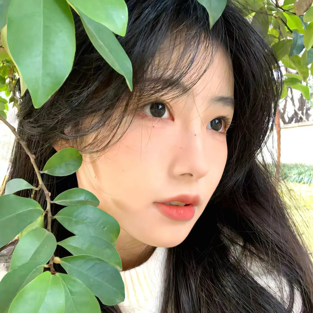 薛小冉的古代搭伙之旅